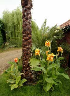 Tropical Landscapes
