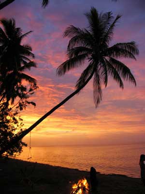 Fiji Palm Sunset006