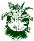 Commercial member of The International Palm Society.