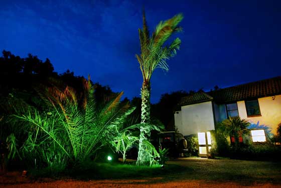 tropicallandscapesuk3web1night.jpg